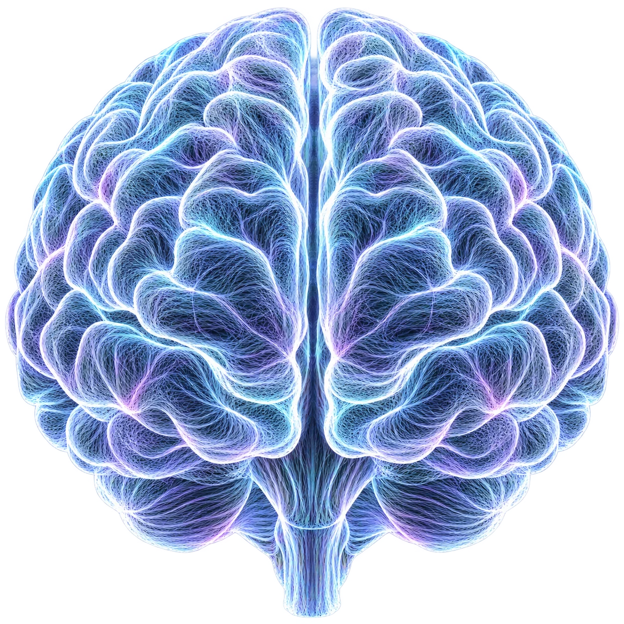 A filament brain with eleven interactive capability regions, including Dashboarding in the brainstem